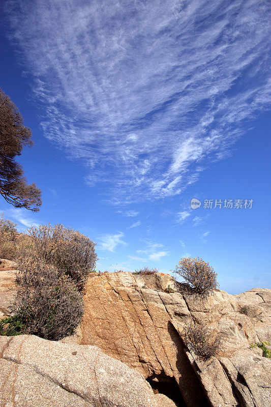 Palfrugell的Calella - cami de ronda